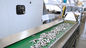 Macchina di rivestimento automatica piena del fiocco dello zinco con il certificato DST S800+ CE/di ISO9001